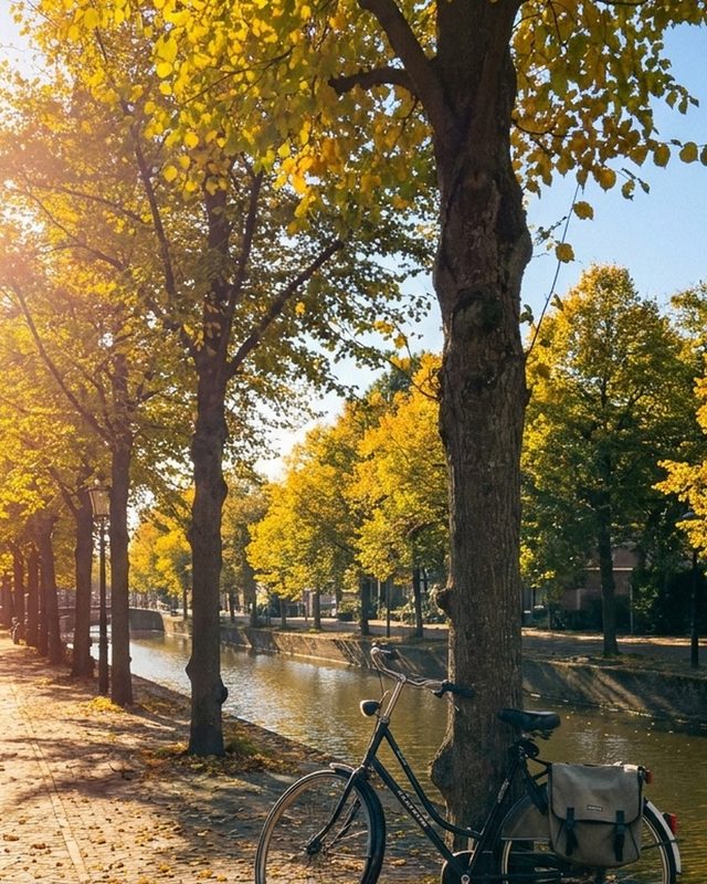 Een fiets tegen een boom aan een gracht in herfstlicht, een dagelijkse foto